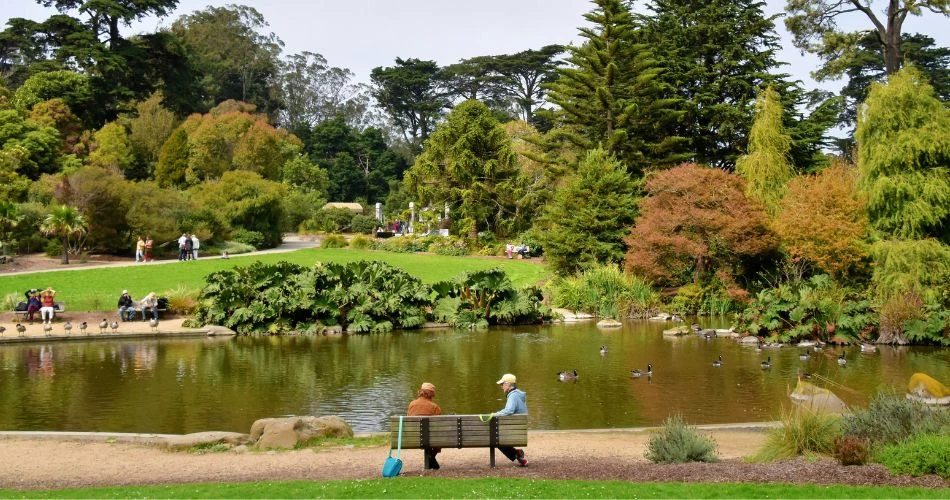 10 Stunning Parks You Can't Miss in San Francisco