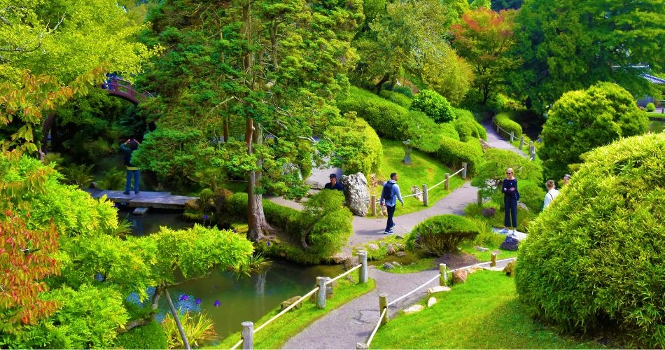 Captivating San Francisco: 9 Places That Will Leave You in Awe