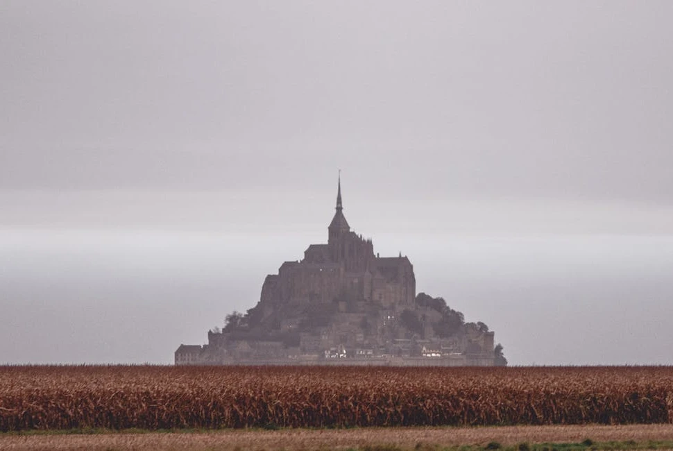 Embrace the Fog: Exploring San Francisco's Unique Weather