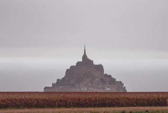 Embrace the Fog: Exploring San Francisco's Unique Weather