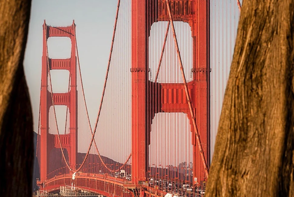 Unforgettable Adventures: Attractions and Activities in San Francisco